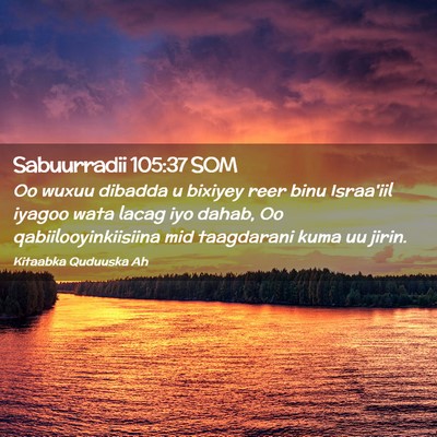 Picture 02 - Sabuurradii 105:37 SOM - Oo wuxuu dibadda u bixiyey reer binu Israa'iil - Bible Verse Picture