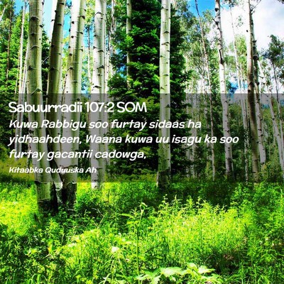 Picture 02 - Sabuurradii 107:2 SOM - Kuwa Rabbigu soo furtay sidaas ha yidhaahdeen, - Bible Verse Picture