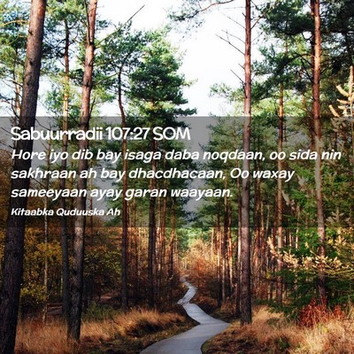 Picture 02 - Sabuurradii 107:27 SOM - Hore iyo dib bay isaga daba noqdaan, oo sida nin - Bible Verse Picture