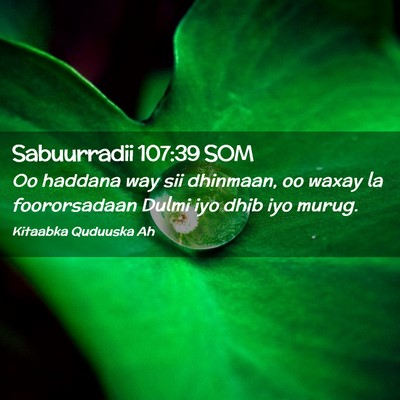 Picture 02 - Sabuurradii 107:39 SOM - Oo haddana way sii dhinmaan, oo waxay la - Bible Verse Picture