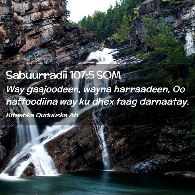Picture 02 - Sabuurradii 107:5 SOM - Way gaajoodeen, wayna harraadeen, Oo naftoodiina - Bible Verse Picture