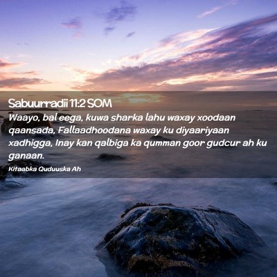 Picture 02 - Sabuurradii 11:2 SOM - Waayo, bal eega, kuwa sharka lahu waxay xoodaan - Bible Verse Picture