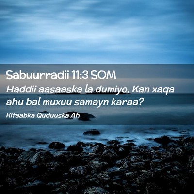 Picture 02 - Sabuurradii 11:3 SOM - Haddii aasaaska la dumiyo, Kan xaqa ahu bal muxuu - Bible Verse Picture