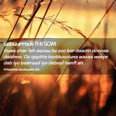 Picture 02 - Sabuurradii 11:6 SOM - Kuwa shar leh wuxuu ku soo kor daadin doonaa - Bible Verse Picture
