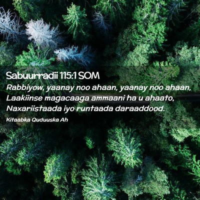 Picture 02 - Sabuurradii 115:1 SOM - Rabbiyow, yaanay noo ahaan, yaanay noo ahaan, - Bible Verse Picture