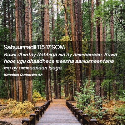 Picture 02 - Sabuurradii 115:17 SOM - Kuwii dhintay Rabbiga ma ay ammaanaan, Kuwa hoos - Bible Verse Picture