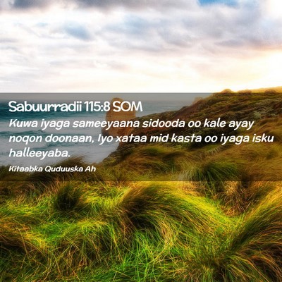 Picture 02 - Sabuurradii 115:8 SOM - Kuwa iyaga sameeyaana sidooda oo kale ayay noqon - Bible Verse Picture