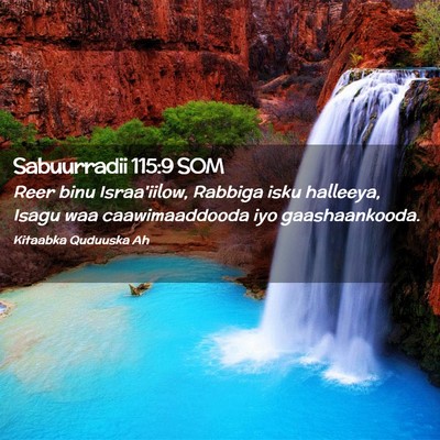 Picture 02 - Sabuurradii 115:9 SOM - Reer binu Israa'iilow, Rabbiga isku halleeya, - Bible Verse Picture