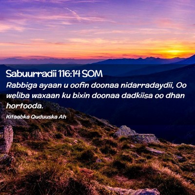 Picture 02 - Sabuurradii 116:14 SOM - Rabbiga ayaan u oofin doonaa nidarradaydii, Oo - Bible Verse Picture