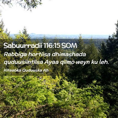 Picture 02 - Sabuurradii 116:15 SOM - Rabbiga hortiisa dhimashada quduusiintiisa Ayaa - Bible Verse Picture