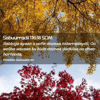 Picture 02 - Sabuurradii 116:18 SOM - Rabbiga ayaan u oofin doonaa nidarradaydii, Oo - Bible Verse Picture