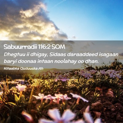 Picture 02 - Sabuurradii 116:2 SOM - Dhegtuu ii dhigay, Sidaas daraaddeed isagaan - Bible Verse Picture