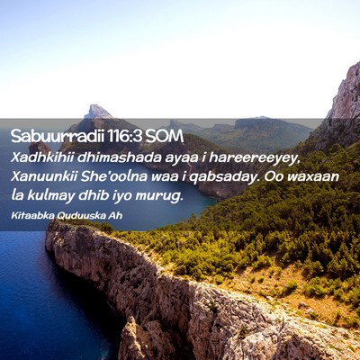 Picture 02 - Sabuurradii 116:3 SOM - Xadhkihii dhimashada ayaa i hareereeyey, - Bible Verse Picture