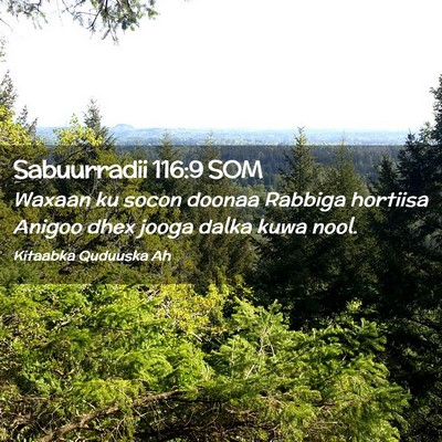 Picture 02 - Sabuurradii 116:9 SOM - Waxaan ku socon doonaa Rabbiga hortiisa Anigoo - Bible Verse Picture