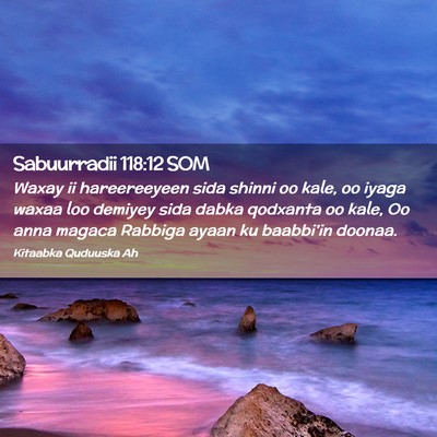 Picture 02 - Sabuurradii 118:12 SOM - Waxay ii hareereeyeen sida shinni oo kale, oo - Bible Verse Picture