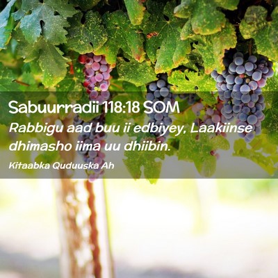 Picture 02 - Sabuurradii 118:18 SOM - Rabbigu aad buu ii edbiyey, Laakiinse dhimasho - Bible Verse Picture