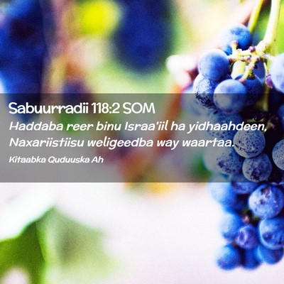Picture 02 - Sabuurradii 118:2 SOM - Haddaba reer binu Israa'iil ha yidhaahdeen, - Bible Verse Picture