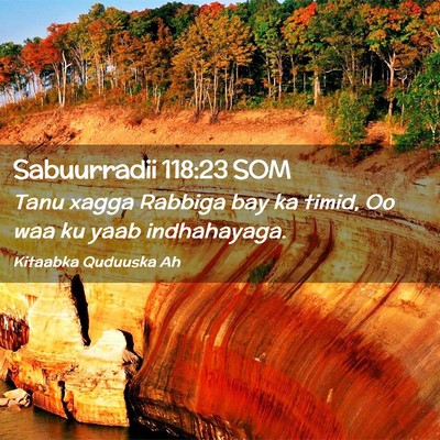 Picture 02 - Sabuurradii 118:23 SOM - Tanu xagga Rabbiga bay ka timid, Oo waa ku yaab - Bible Verse Picture