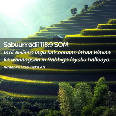 Picture 02 - Sabuurradii 118:9 SOM - Intii amiirro lagu kalsoonaan lahaa Waxaa ka - Bible Verse Picture