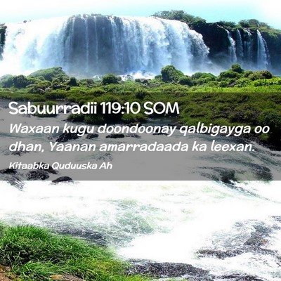 Picture 02 - Sabuurradii 119:10 SOM - Waxaan kugu doondoonay qalbigayga oo dhan, Yaanan - Bible Verse Picture