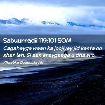 Picture 02 - Sabuurradii 119:101 SOM - Cagahayga waan ka joojiyey jid kasta oo shar leh, - Bible Verse Picture