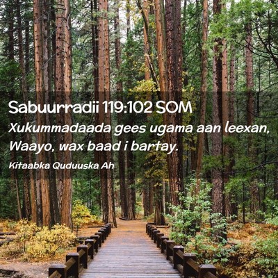 Picture 02 - Sabuurradii 119:102 SOM - Xukummadaada gees ugama aan leexan, Waayo, wax - Bible Verse Picture