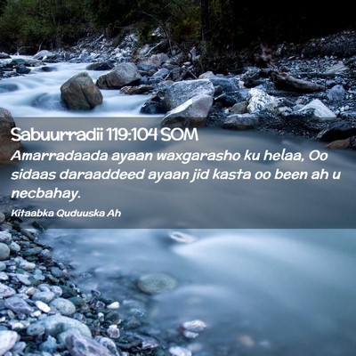 Picture 02 - Sabuurradii 119:104 SOM - Amarradaada ayaan waxgarasho ku helaa, Oo sidaas - Bible Verse Picture