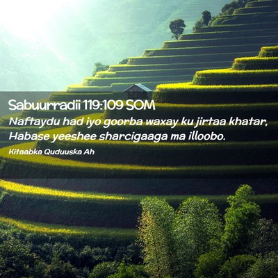 Picture 02 - Sabuurradii 119:109 SOM - Naftaydu had iyo goorba waxay ku jirtaa khatar, - Bible Verse Picture