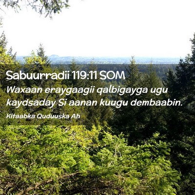 Picture 02 - Sabuurradii 119:11 SOM - Waxaan eraygaagii qalbigayga ugu kaydsaday Si - Bible Verse Picture