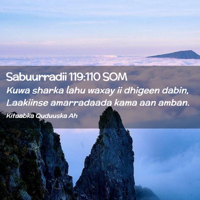 Picture 02 - Sabuurradii 119:110 SOM - Kuwa sharka lahu waxay ii dhigeen dabin, - Bible Verse Picture