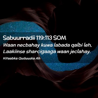 Picture 02 - Sabuurradii 119:113 SOM - Waan necbahay kuwa labada qalbi leh, Laakiinse - Bible Verse Picture