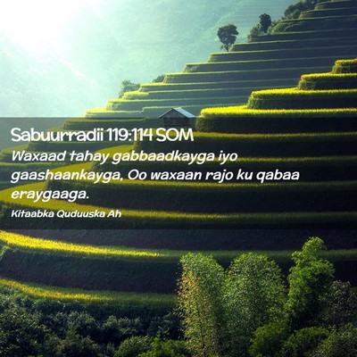Picture 02 - Sabuurradii 119:114 SOM - Waxaad tahay gabbaadkayga iyo gaashaankayga, Oo - Bible Verse Picture