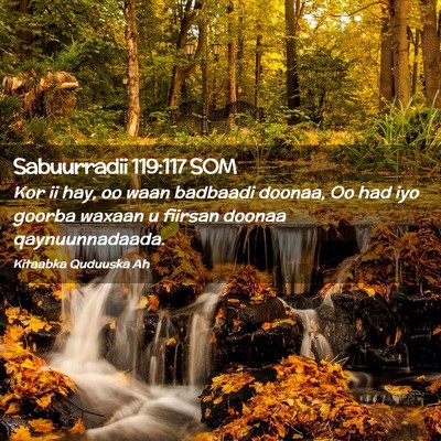 Picture 02 - Sabuurradii 119:117 SOM - Kor ii hay, oo waan badbaadi doonaa, Oo had iyo - Bible Verse Picture