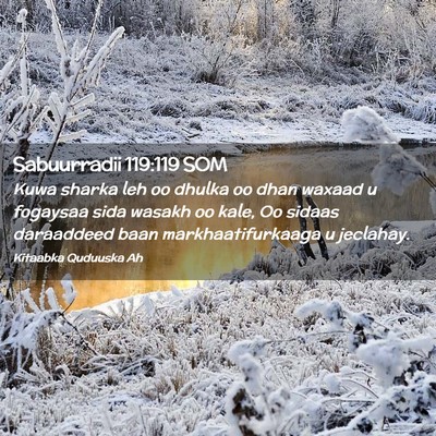 Picture 02 - Sabuurradii 119:119 SOM - Kuwa sharka leh oo dhulka oo dhan waxaad u - Bible Verse Picture