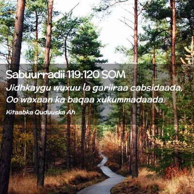 Picture 02 - Sabuurradii 119:120 SOM - Jidhkaygu wuxuu la gariiraa cabsidaada, Oo waxaan - Bible Verse Picture