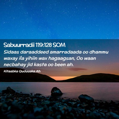 Picture 02 - Sabuurradii 119:128 SOM - Sidaas daraaddeed amarradaada oo dhammu waxay ila - Bible Verse Picture