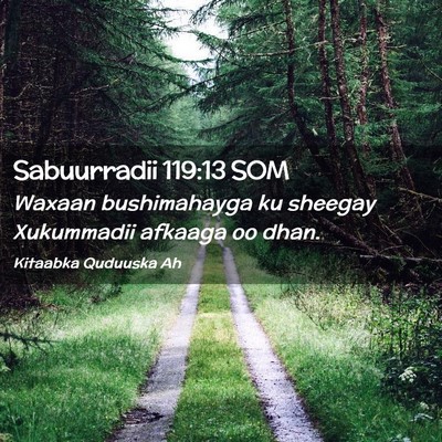 Picture 02 - Sabuurradii 119:13 SOM - Waxaan bushimahayga ku sheegay Xukummadii afkaaga - Bible Verse Picture