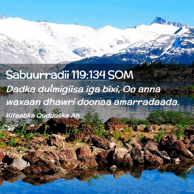 Picture 02 - Sabuurradii 119:134 SOM - Dadka dulmigiisa iga bixi, Oo anna waxaan dhawri - Bible Verse Picture