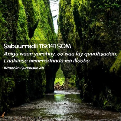 Picture 02 - Sabuurradii 119:141 SOM - Anigu waan yarahay, oo waa lay quudhsadaa, - Bible Verse Picture