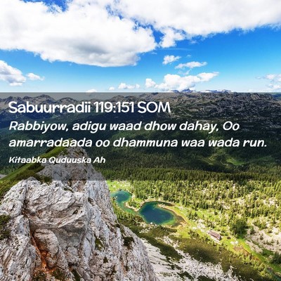 Picture 02 - Sabuurradii 119:151 SOM - Rabbiyow, adigu waad dhow dahay, Oo amarradaada - Bible Verse Picture