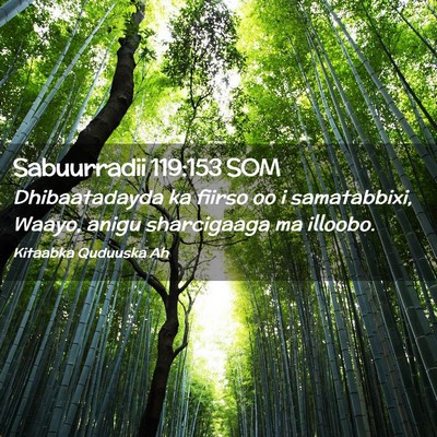 Picture 02 - Sabuurradii 119:153 SOM - Dhibaatadayda ka fiirso oo i samatabbixi, Waayo, - Bible Verse Picture