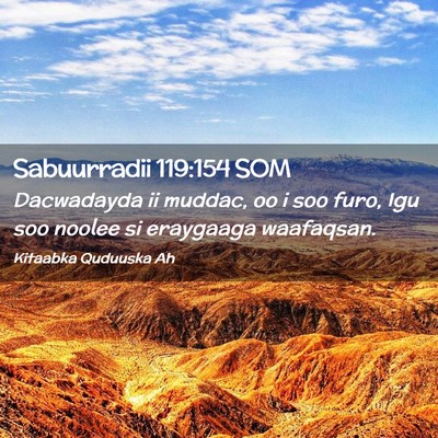 Picture 02 - Sabuurradii 119:154 SOM - Dacwadayda ii muddac, oo i soo furo, Igu soo - Bible Verse Picture