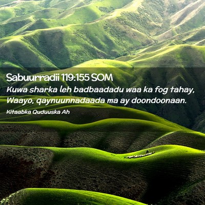Picture 02 - Sabuurradii 119:155 SOM - Kuwa sharka leh badbaadadu waa ka fog tahay, - Bible Verse Picture