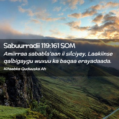 Picture 02 - Sabuurradii 119:161 SOM - Amiirraa sababla'aan ii silciyey, Laakiinse - Bible Verse Picture