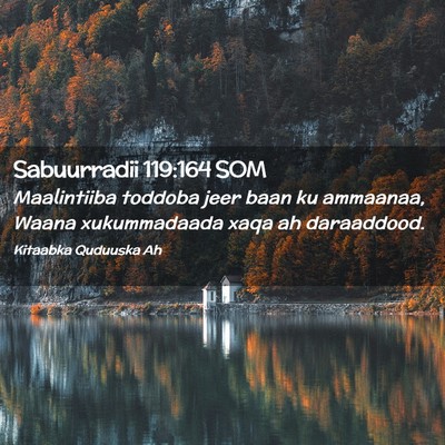 Picture 02 - Sabuurradii 119:164 SOM - Maalintiiba toddoba jeer baan ku ammaanaa, Waana - Bible Verse Picture