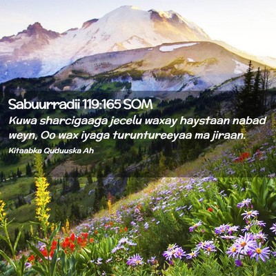 Picture 02 - Sabuurradii 119:165 SOM - Kuwa sharcigaaga jecelu waxay haystaan nabad - Bible Verse Picture