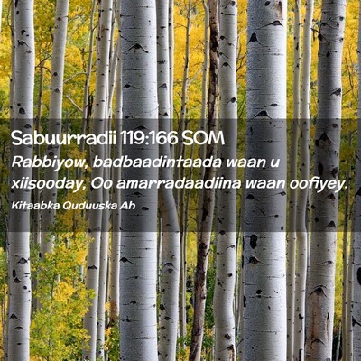 Picture 02 - Sabuurradii 119:166 SOM - Rabbiyow, badbaadintaada waan u xiisooday, Oo - Bible Verse Picture