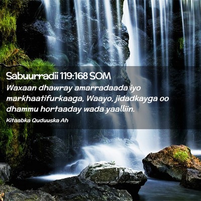 Picture 02 - Sabuurradii 119:168 SOM - Waxaan dhawray amarradaada iyo markhaatifurkaaga, - Bible Verse Picture