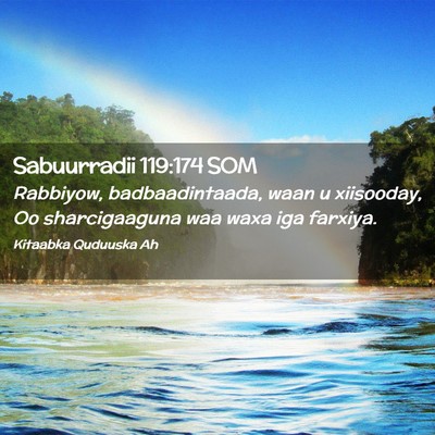 Picture 02 - Sabuurradii 119:174 SOM - Rabbiyow, badbaadintaada, waan u xiisooday, Oo - Bible Verse Picture