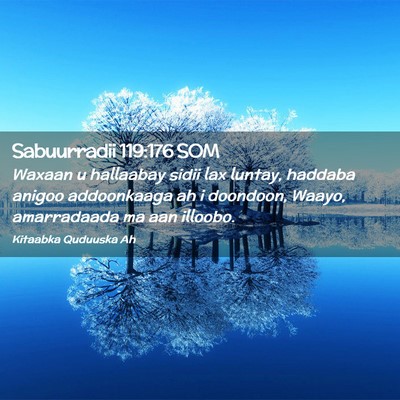 Picture 02 - Sabuurradii 119:176 SOM - Waxaan u hallaabay sidii lax luntay, haddaba - Bible Verse Picture